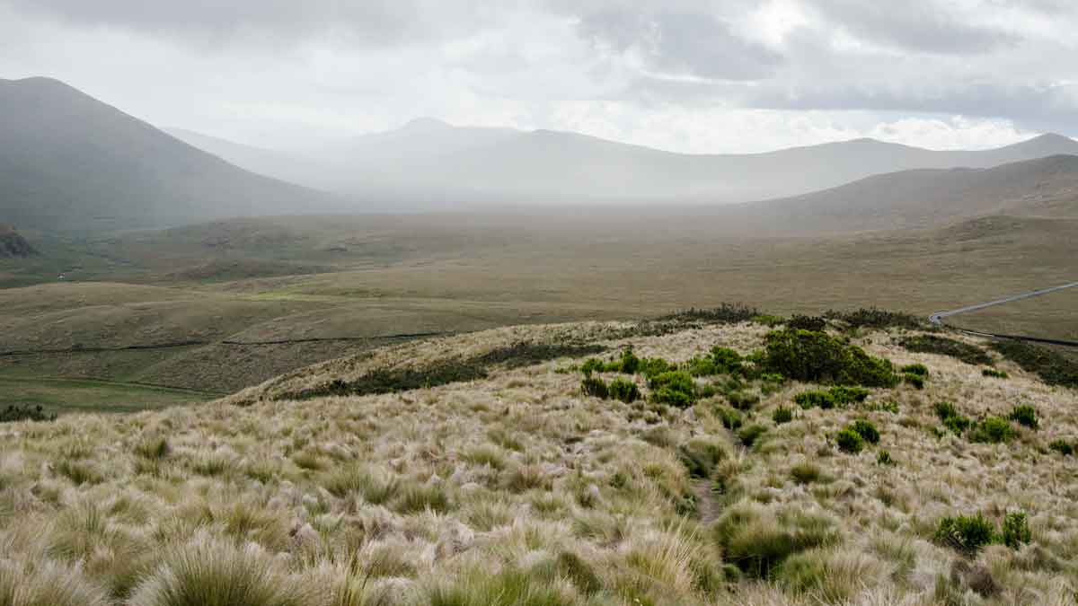 Hills in the Antisana Conservation Area | ©Angela Drake Hills in the Antisana Conservation Area | ©Angela Drake
