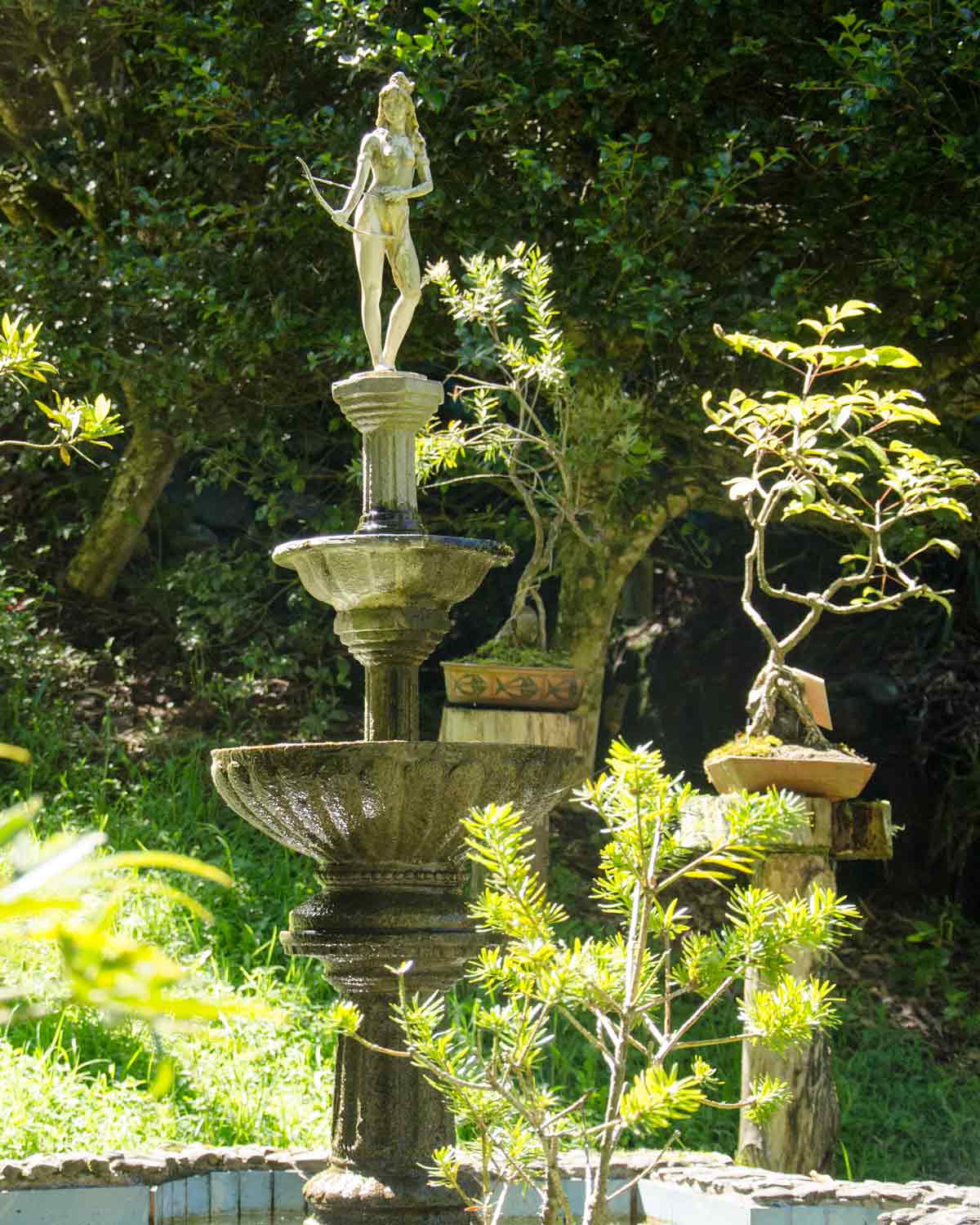 Botanical Garden in Loja, Ecuador | ©Angela Drake Botanical Garden in Loja, Ecuador | ©Angela Drake