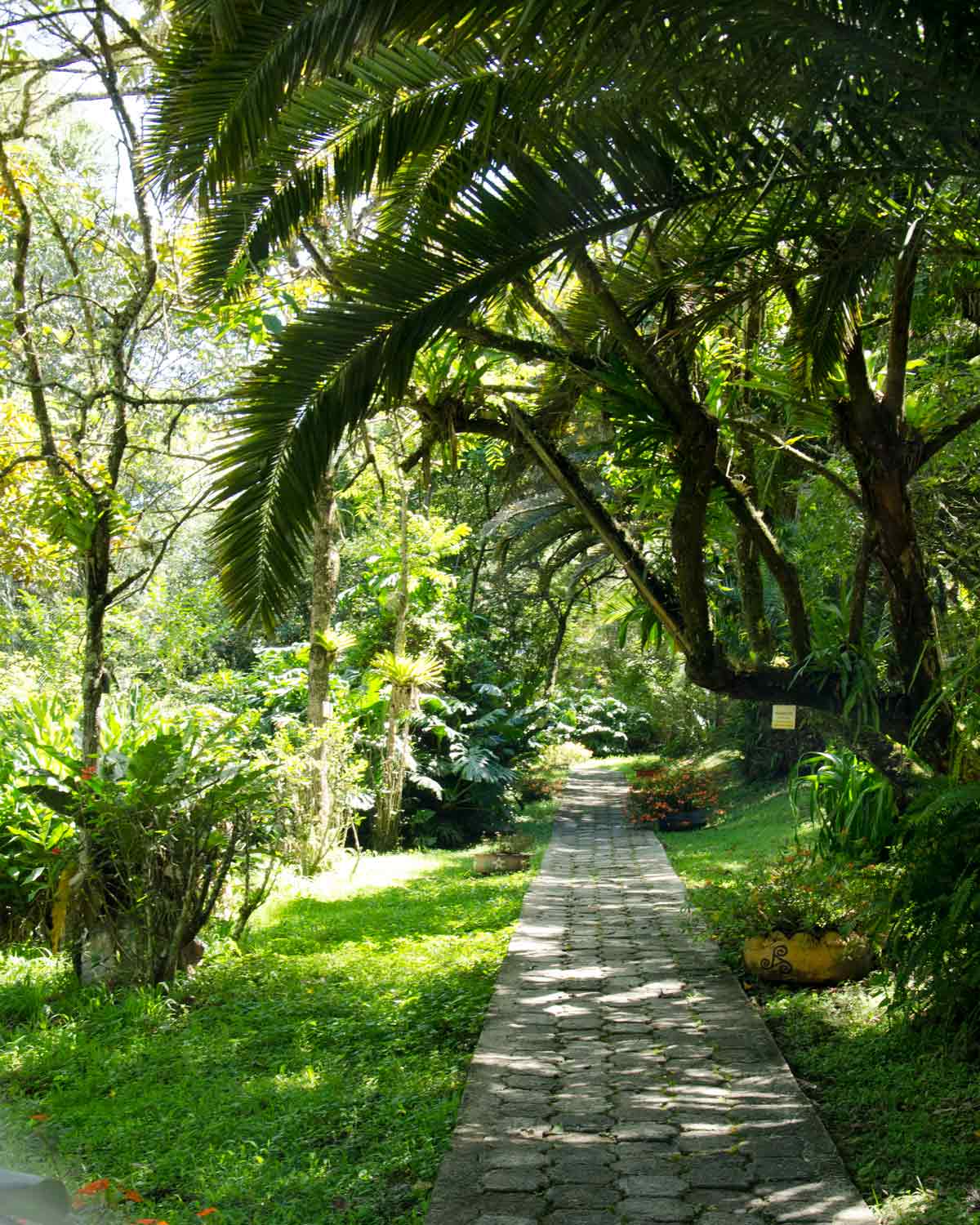 Garden Path, Botanical Garden in Loja, Ecuador | ©Angela Drake Garden Path, Botanical Garden in Loja, Ecuador | ©Angela Drake