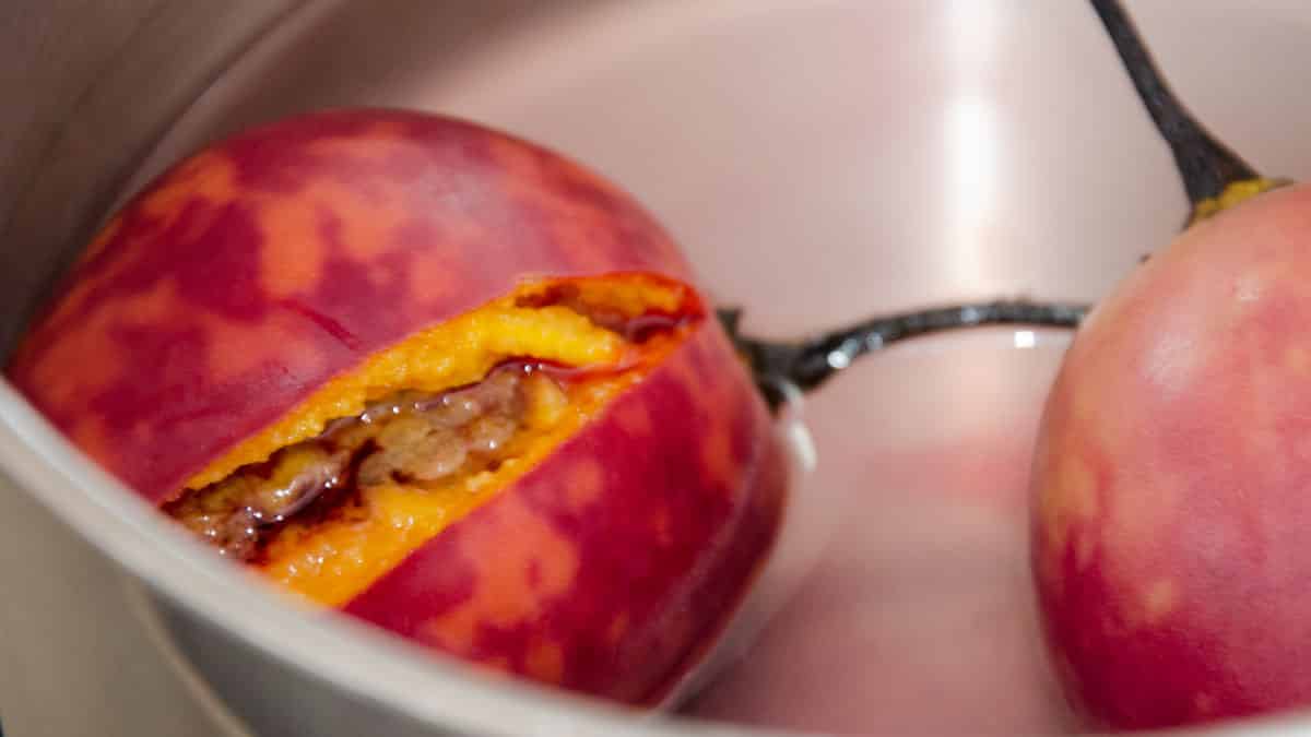 A Tree Tomato, Tamarillo, or Tomate de Arbol | ©Angela Drake A Tree Tomato, Tamarillo, or Tomate de Arbol | ©Angela Drake