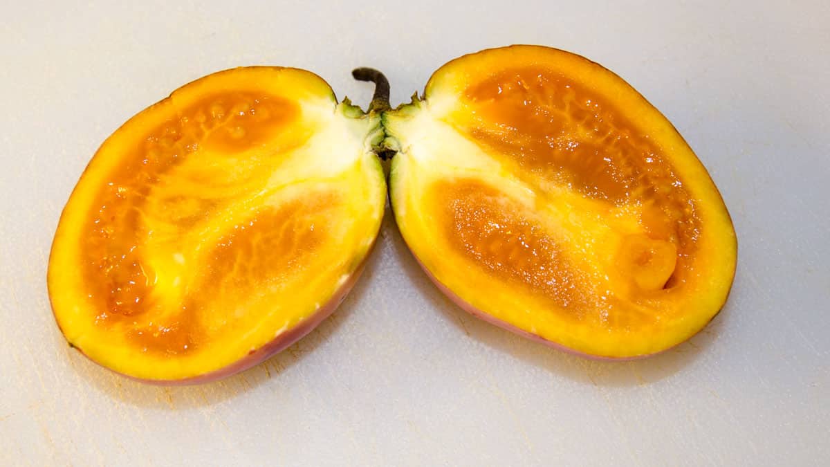 Tree Tomatoes, also called Tamarillo | © Angela Drake Tree Tomatoes, also called Tamarillo | © Angela Drake