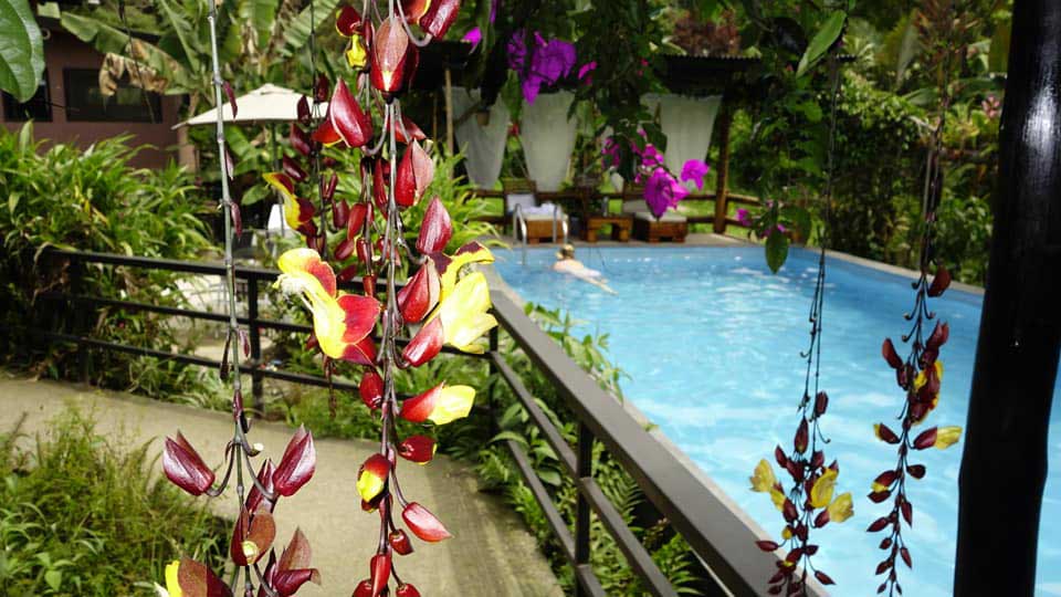 Birdwatching and Relaxation at a Mindo Ecolodge