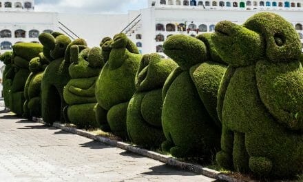 The Spectacular Topiaries of the Tulcan Cemetery