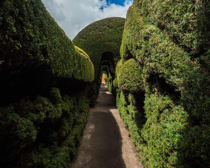 These trees were easily 12 feet high | © Ernest Scott Drake Topiary Tunnel, Tulcan Cemetery, Ecuador | © Ernest Scott Drake