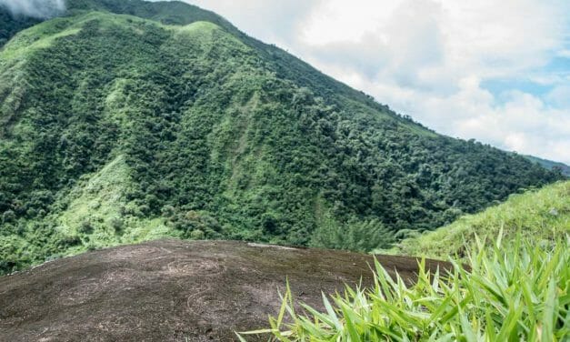 The Spiral Petroglyphs of Guizhaguiña, Ecuador