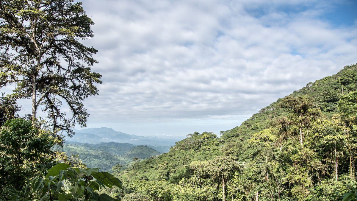 View from the Buenaventura Reserve, Piñas, Ecuador | ©Angela Drake View from the Buenaventura Reserve, Piñas, Ecuador | ©Angela Drake
