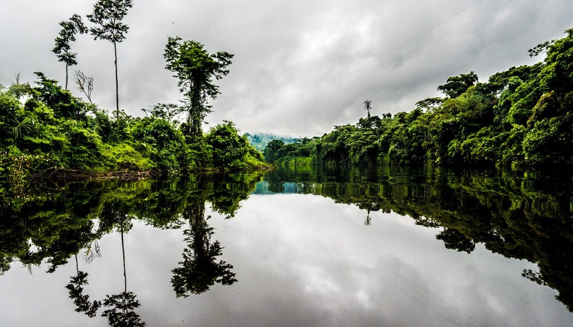 A Nangaritza River Cruise