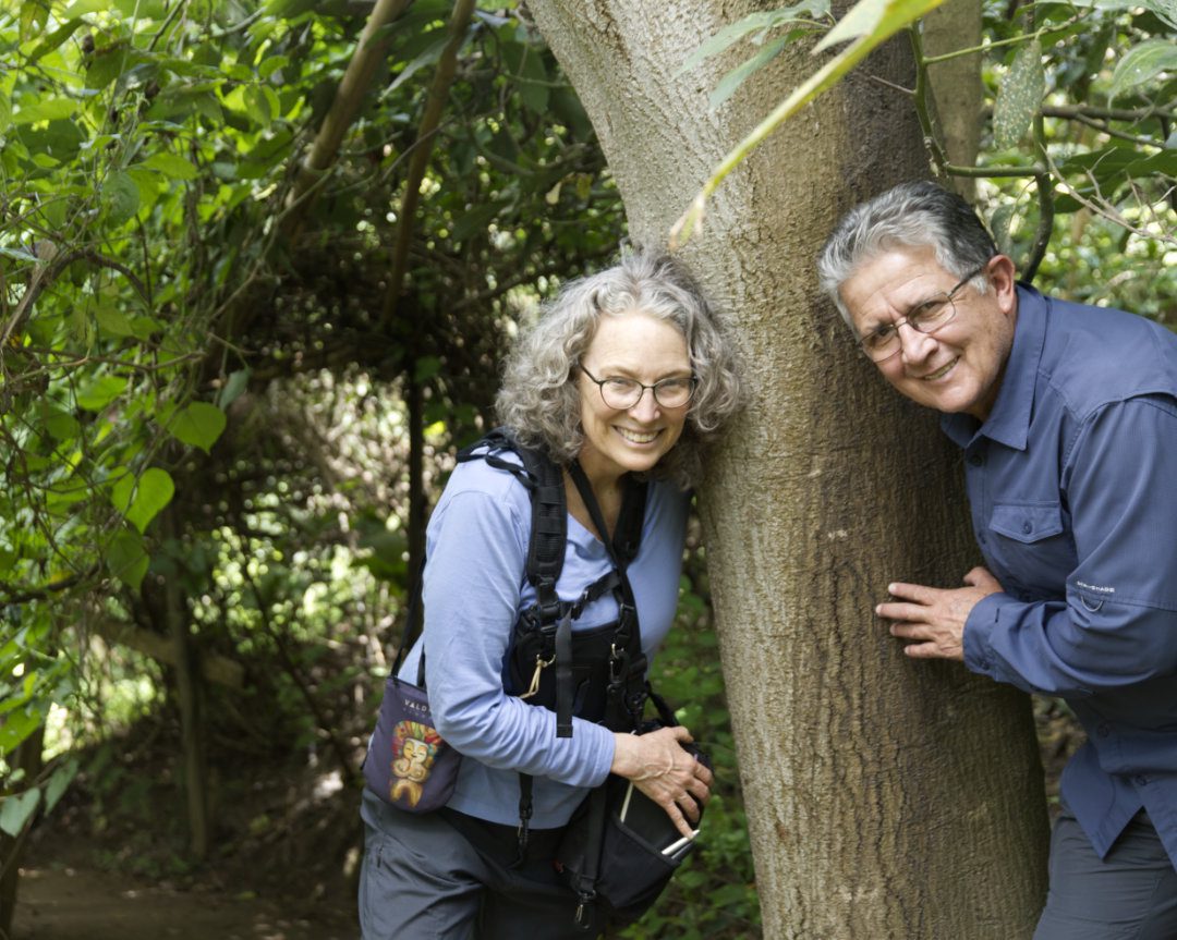 A woman and a man stand on either side of the trunk of an old avocado tree called Guerrero