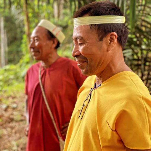 A Secoya in the foreground with his eyes closed while smiling, second Secoya in background is blurred