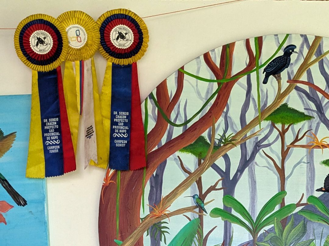 Three ribbons awarded for having champion cattle hang next to a mural of birds.