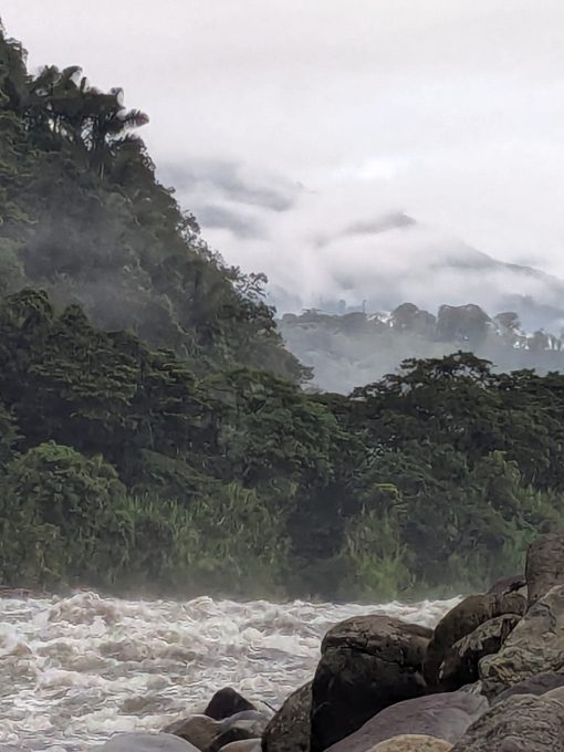 A frothing river lined by rocks with a view into the misty forests of the Andes.