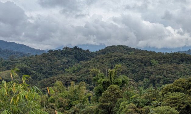 Reserva Wayra: Rewilding cerca de la Sierra de Guacamayos