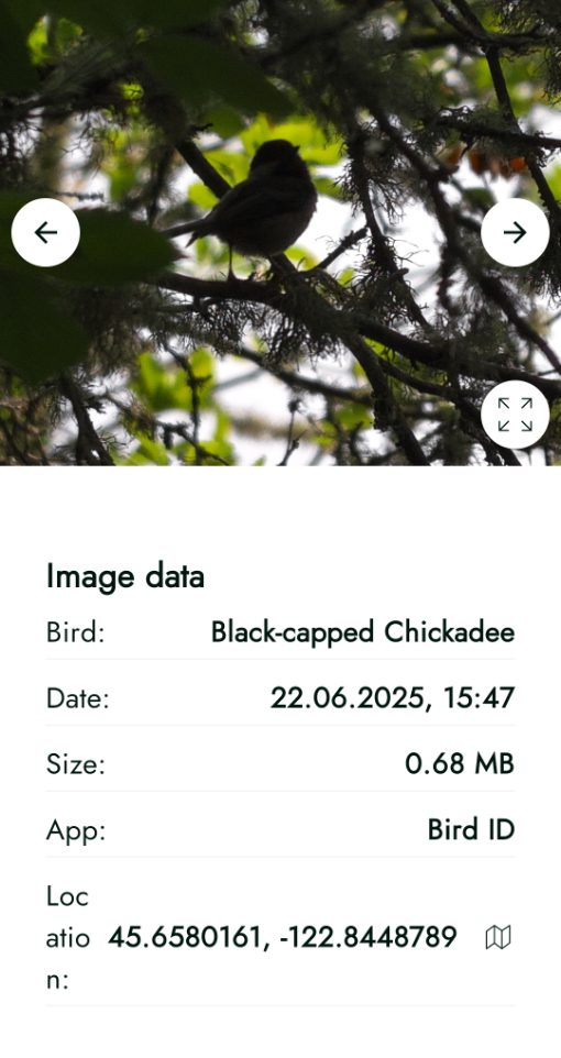 Screenshot of the AX Visio ID of a Black-capped Chickadee
