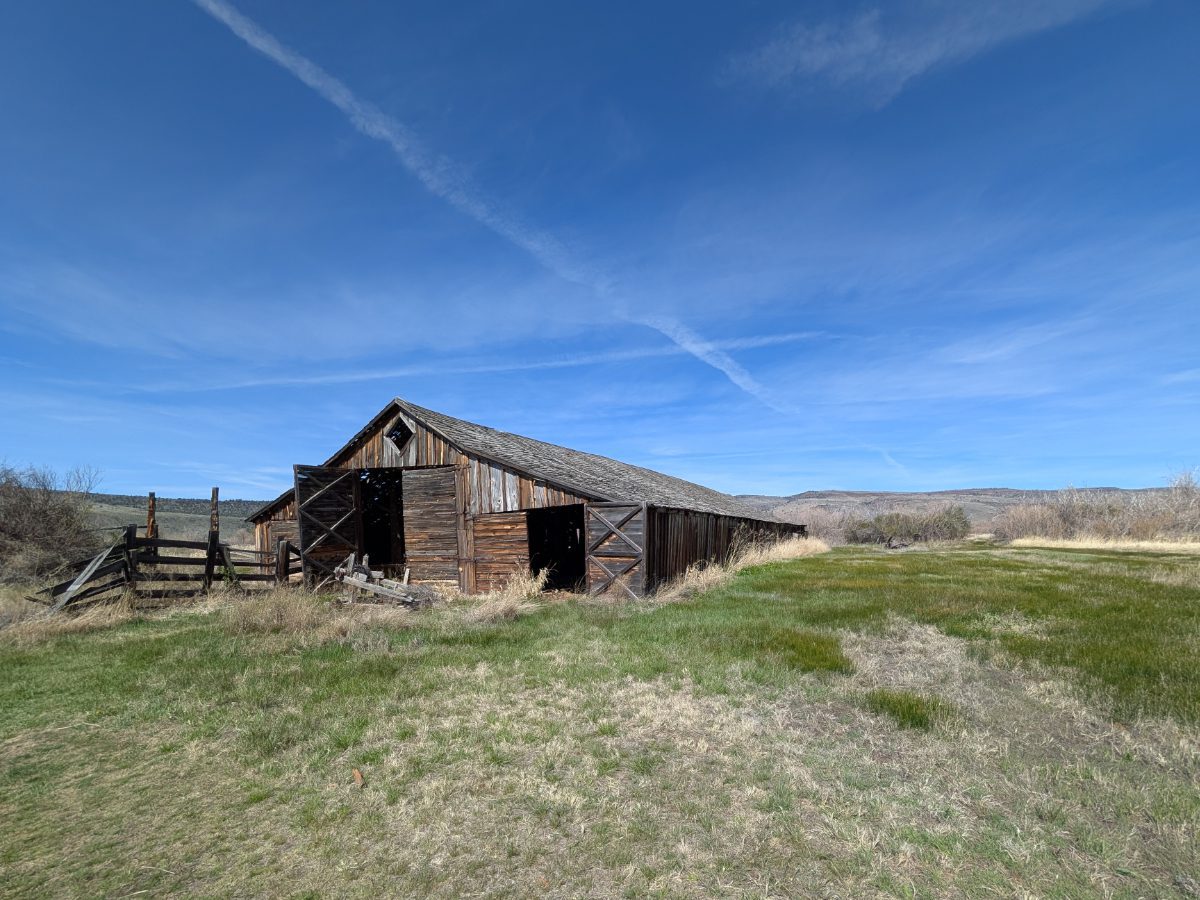 An old wooden barn in faded browns and grays with a door open holds court in a grassy field and blue sky misted with high moving clouds.