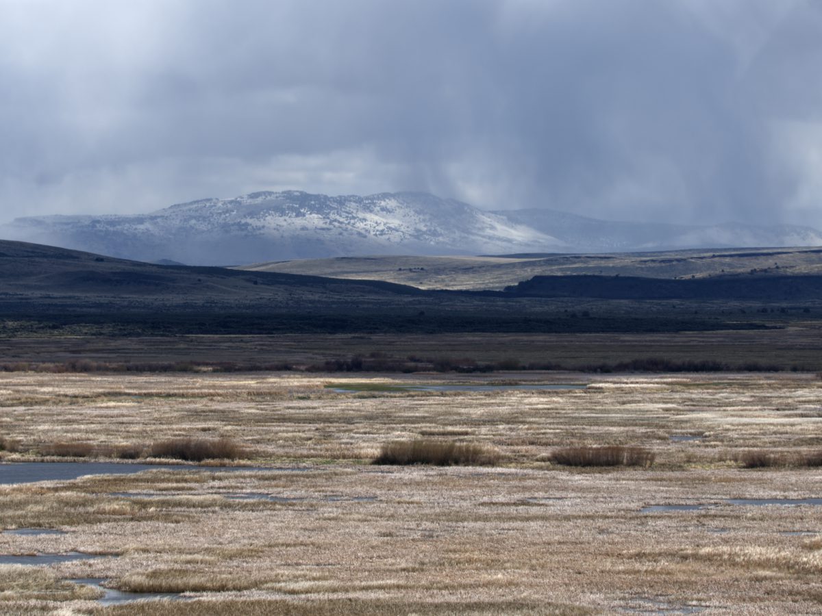 Light snow / rain falls as a gray sheet over the distant mountains while dry grass in the foreground shines golden yellow.