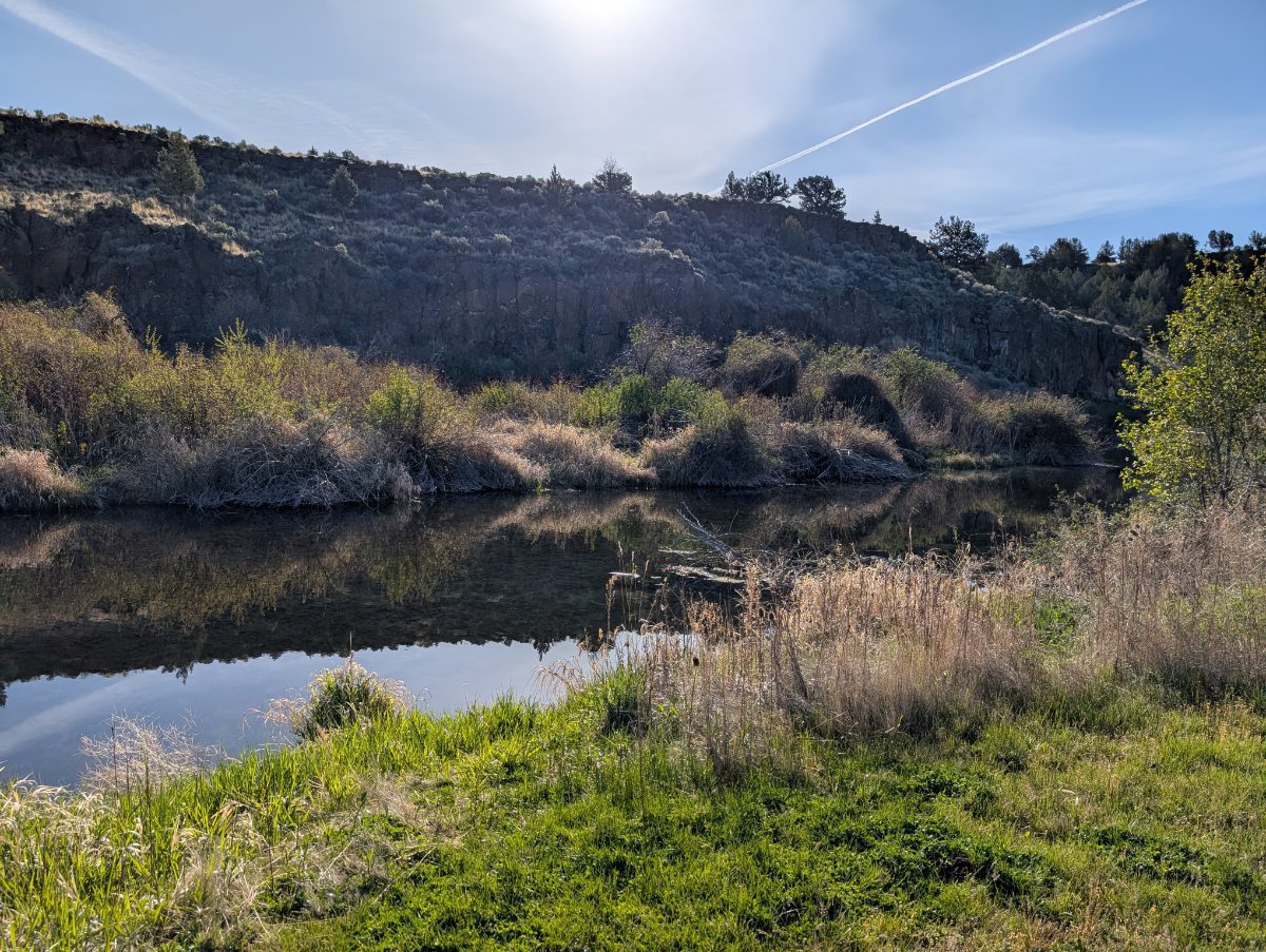 A creek running through Page Springs Campground 