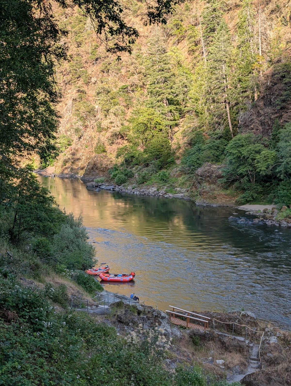 From the outdoor patio along the Rogue River at Paradise Lodge, the view is serene - a calm Rogue River, and sunlight highlighting green forest on the facing slope.