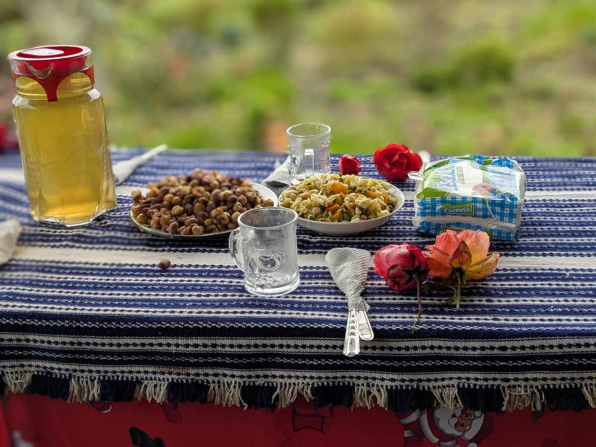 A table set with blue and white striped tablecloth, roses for decor, two plates of food, and a jug of cold tea.