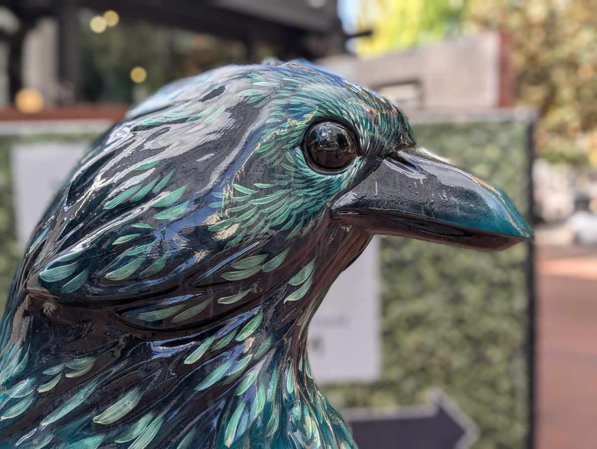 A close-up of the crow sculpture Overgrowth found at Pioneer Plaza